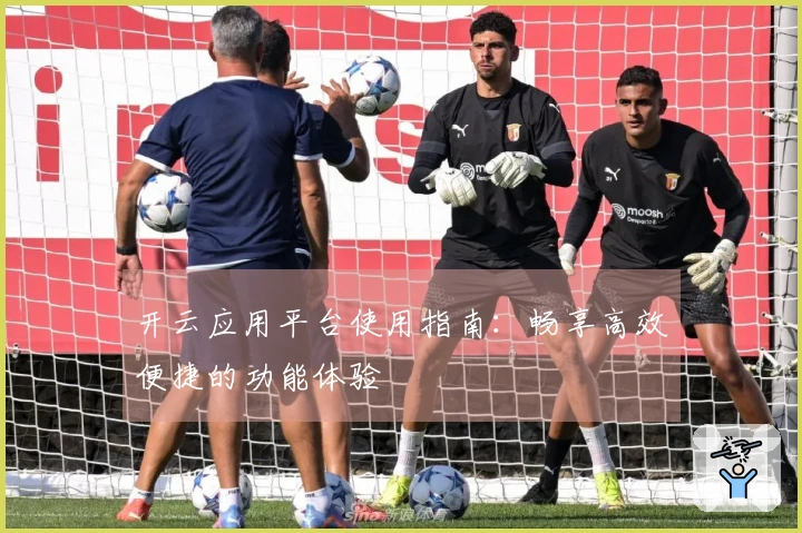 开云应用平台使用指南：畅享高效便捷的功能体验