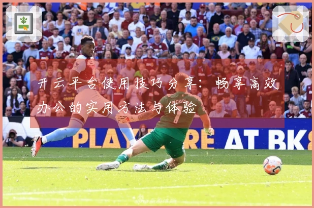 开云平台使用技巧分享：畅享高效办公的实用方法与体验