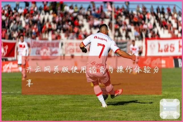开云网页版使用指南与操作体验分享