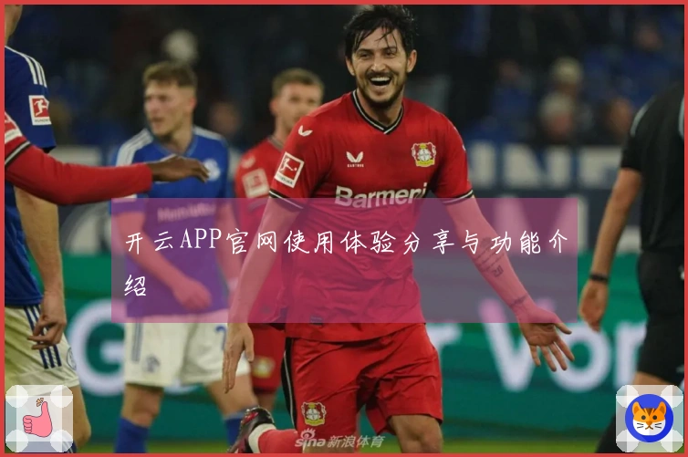 开云APP官网使用体验分享与功能介绍